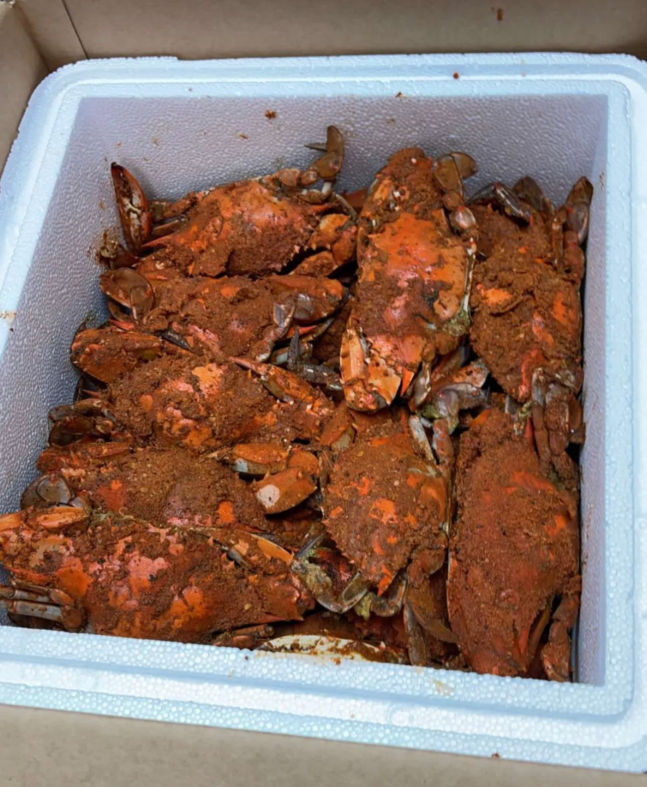 1 Dozen Large Maryland Crabs + FREE SHIPPING