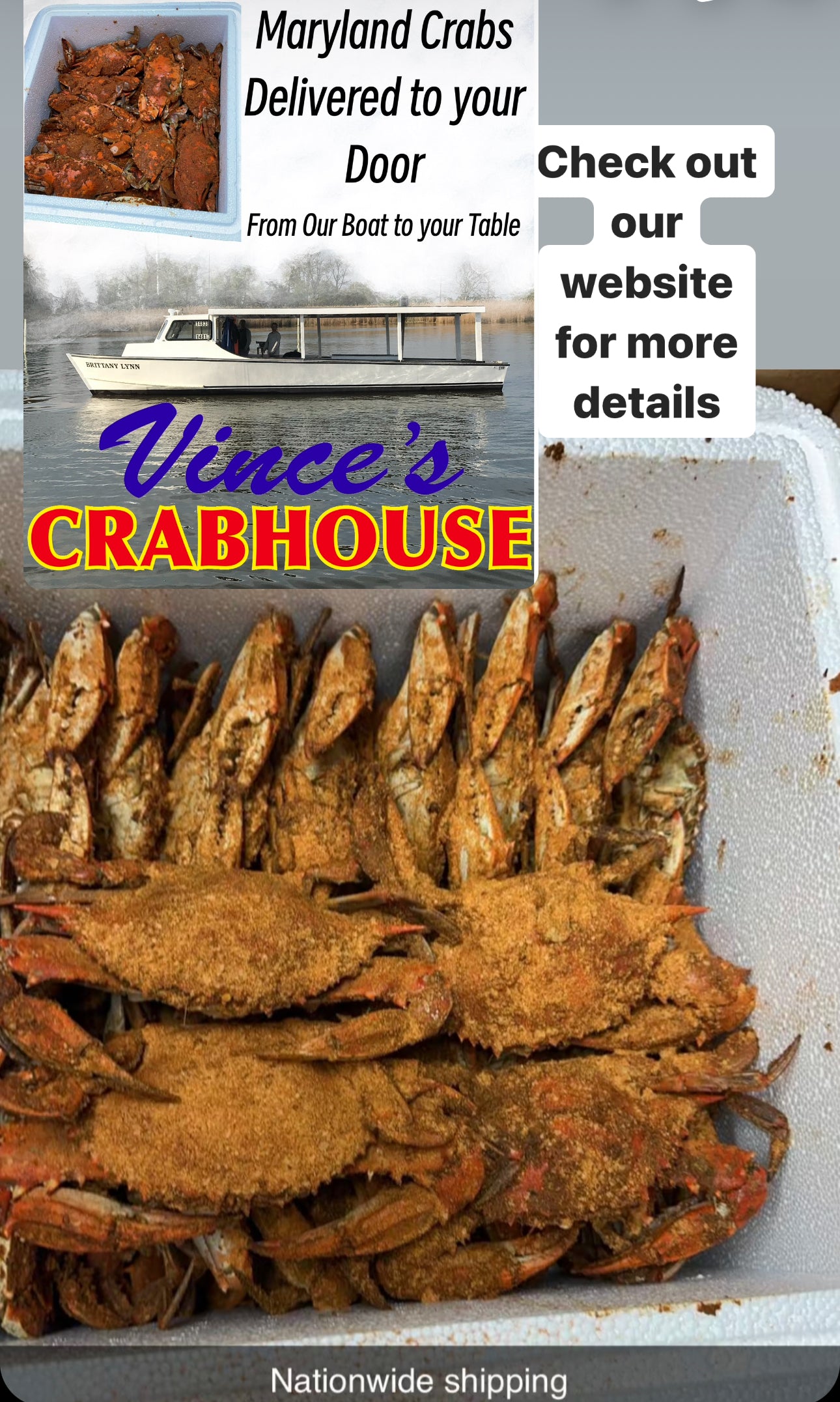 1 Dozen Large Maryland Crabs + FREE SHIPPING